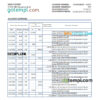 editable template, Syria Gulf bank statement, Excel and PDF template