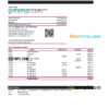 editable template, Taiwan Bank of Taiwan bank statement, Excel and PDF template