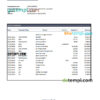 editable template, Tajikistan Spitamen Bank statement, Excel and PDF template
