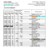 editable template, Tanzania Access bank statement, Excel and PDF template
