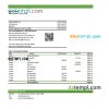 editable template, Togo Financial Bank statement, Excel and PDF template