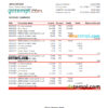 editable template, Trinidad and Tobago First Citizens bank statement, Excel and PDF template