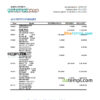editable template, Trinidad and Tobago Royal bank statement, Excel and PDF template