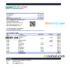 editable template, Turkmenistan Rysgal bank statement, Excel and PDF template
