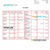 editable template, USA BAC Florida bank statement Word and PDF template