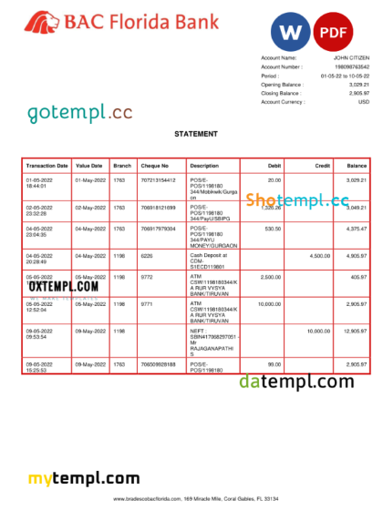 editable template, USA BAC Florida bank statement Word and PDF template