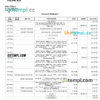 editable template, USA Bank of Texas account statement Word and PDF template