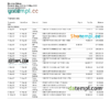 editable template, USA California Bank Trust bank statement, Word and PDF template