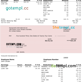 editable template, USA Honeywell conglomerate company pay stub PSD template