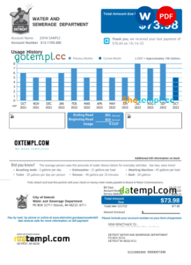editable template, USA Michigan Water and Sewerage Department utility bill, Word and PDF template, 2 pages