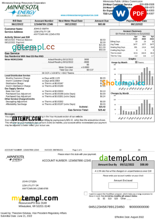 editable template, USA Minnesota Energy utility bill, Word and PDF template, 2 pages - Image 2