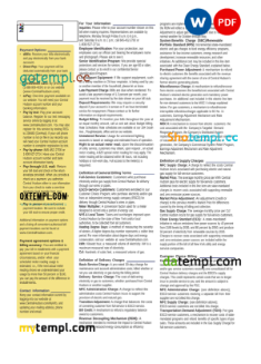 editable template, USA New York Central Hudson A fortis company utility bill, Word and PDF template, 3 pages