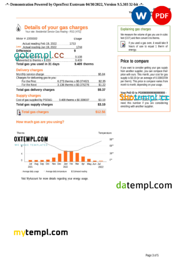 editable template, USA New York PSEG utility bill, Word and PDF template, 5 pages - Image 2