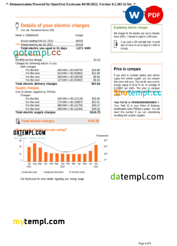 editable template, USA New York PSEG utility bill, Word and PDF template, 5 pages - Image 3
