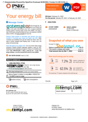 editable template, USA New York PSEG utility bill, Word and PDF template, 5 pages - Image 5