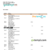 editable template, USA One Florida bank statement, Word and PDF template