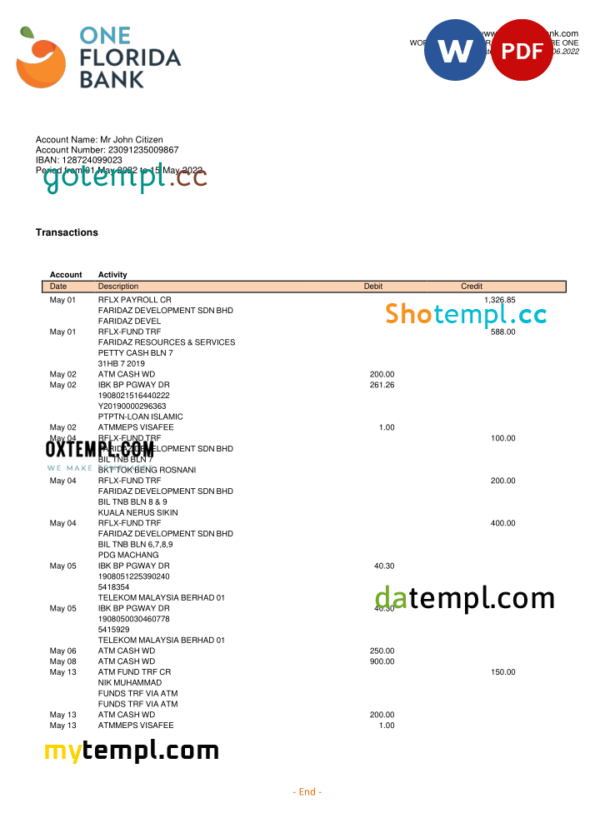 editable template, USA One Florida bank statement, Word and PDF template