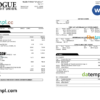 editable template, USA Oregon Rogue bank statement, Word and PDF template, 3 pages