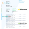 editable template, USA TransferWise Finances statement, Word and PDF template