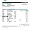 editable template, Uganda Cairo bank statement, Excel and PDF template