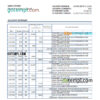 editable template, Uganda Centenary bank statement, Excel and PDF template