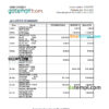 editable template, UAE Emirates Investment Bank statement, Excel and PDF template