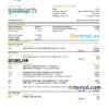 editable template, Venezuela Banesco bank statement, Excel and PDF template