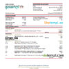 editable template, Vietnam BIDV bank statement, Excel and PDF template
