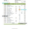 editable template, Yemen Central Bank of Yemen bank statement, Excel and PDF template
