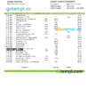 editable template, Yemen Central Bank of Yemen bank statement Word and PDF template