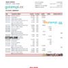 editable template, Zambia Absa bank statement, Excel and PDF template