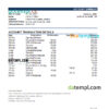 editable template, Zambia Cavmont bank statement, Excel and PDF template