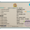 editable template, # certificate dominate death universal certificate PSD template, completely editable