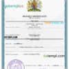 editable template, # origin break vital record death certificate universal PSD template