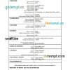 editable template, China vital record death certificate Word and PDF template