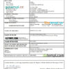 editable template, Egypt vital record death certificate Word and PDF template