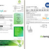 editable template, Australia Energy Australia gas utility bill template in Word and PDF format, 3 pages