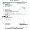 editable template, Cyprus vital record death certificate Word and PDF template