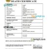 editable template, Denmark vital record death certificate Word and PDF template
