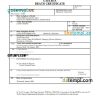 editable template, Czechia death certificate Word and PDF template, completely editable