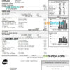 editable template, USA Wisconsin We Energies electricity utility bill template in Word and PDF format