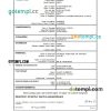 editable template, Congo death certificate Word and PDF template, completely editable