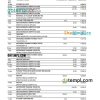 editable template, Australia ANZ bank statement easy to fill template in Excel and PDF format, 2 pages - Image 2