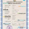 editable template, Bahamas vital record birth certificate PSD template, fully editable