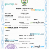 editable template, Belize vital record birth certificate PSD template