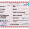 editable template, Botswana vital record birth certificate PSD template, fully editable