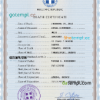 editable template, Greece vital record death certificate PSD template