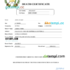 editable template, Guatemala death certificate Word and PDF template, completely editable