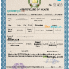 editable template, Guatemala vital record death certificate PSD template, fully editable