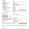 editable template, Guinea Bissau vital record death certificate Word and PDF template